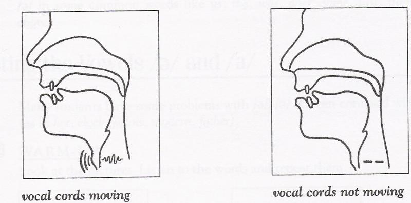 Voiced And Voiceless Consonants